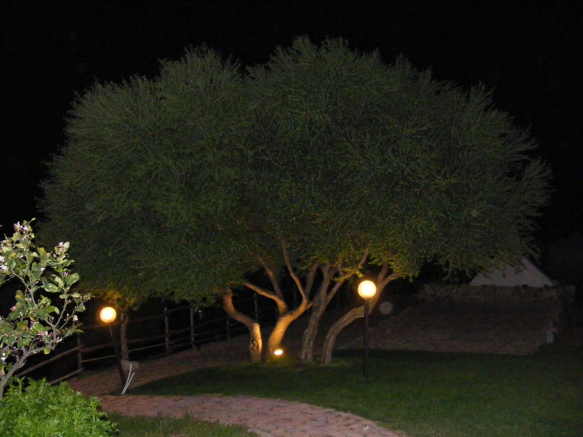 Tenuta Su Vrau Posada  Dış mekan fotoğraf