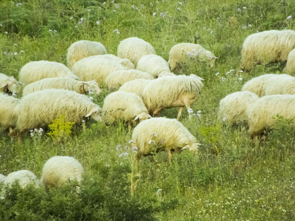 Tenuta Su Vrau Posada  Dış mekan fotoğraf
