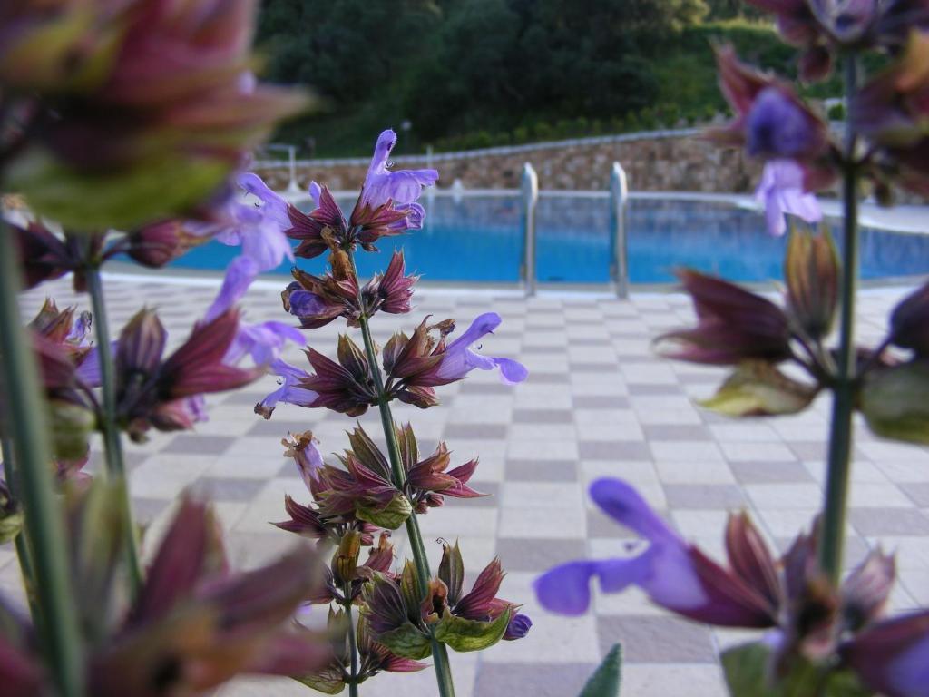 Tenuta Su Vrau Posada  Dış mekan fotoğraf